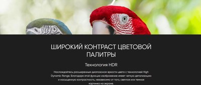 Телевизор Topdevice TDTV55DQ08UBK- фото7