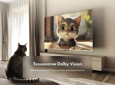 Телевизор Haier 50 Smart TV S3- фото10