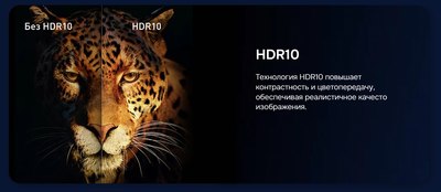 Телевизор Hikers 50HTU01- фото9