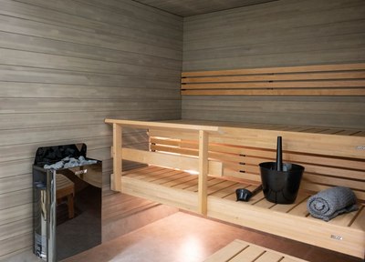 Электрокаменка Harvia SW45- фото2