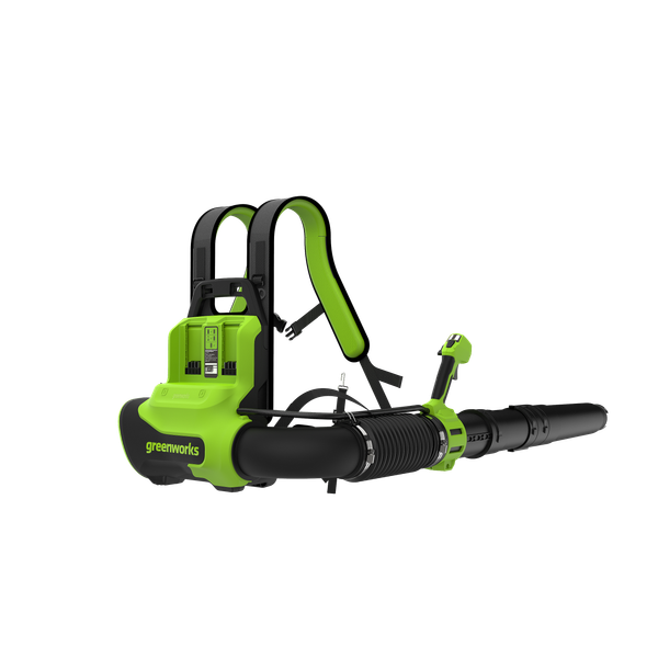 Воздуходувка аккумуляторная Greenworks GD40BPG2 / 2408107UB- фото4