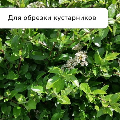 Сучкорез механический GREENGO 139651- фото6