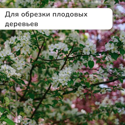 Секатор механический GREENGO 3809461- фото4