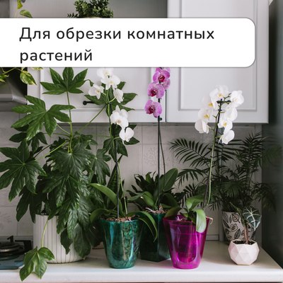 Садовые ножницы механические GREENGO 3028457- фото4