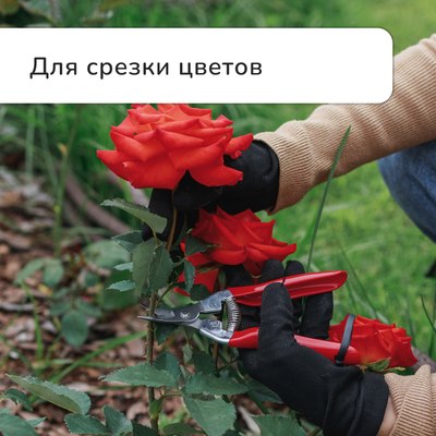 Садовые ножницы механические GREENGO 3028457- фото6