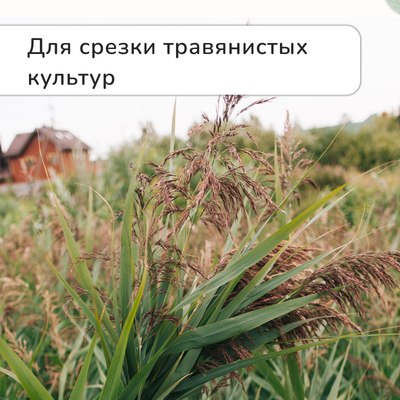 Садовые ножницы механические GREENGO 3028457- фото7