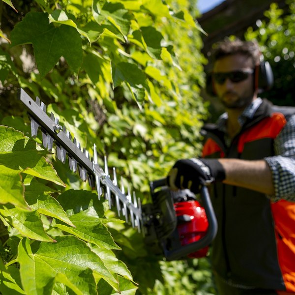 Кусторез бензиновый Efco TG 2470 P (58099021E2)- фото4