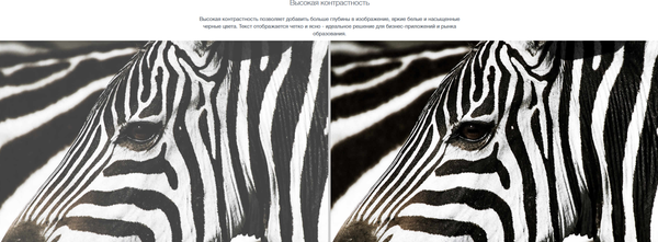 Проектор Optoma ZU607T- фото3