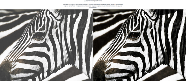 Проектор Optoma ZU707T- фото3