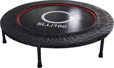 Батут DFC Trampoline Dia / SLL100/1- фото