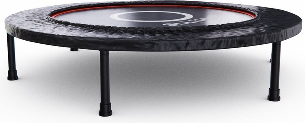 Батут DFC Trampoline Dia / SLL100/1- фото2