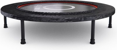 Батут DFC Trampoline Dia / SLL100/1- фото3