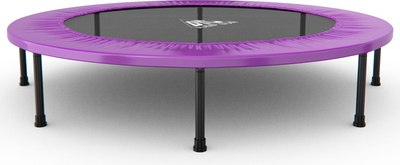 Батут DFC Jump Sun 55INCH-JS-P- фото2