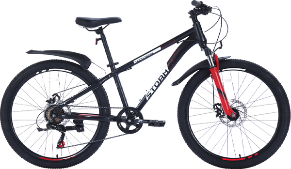 Велосипед Tech Team Storm 24 2024 / NN002551- фото