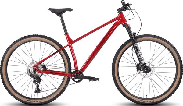Велосипед Hagen Bikes 3.10 29 2025 / H25M310RR29XL- фото