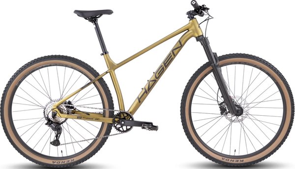 Велосипед Hagen Bikes 3.8 29 2025 / H25M38MU29XL