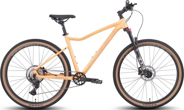 Велосипед Hagen Bikes Queen 9 2025 / H25Q9PC27S- фото