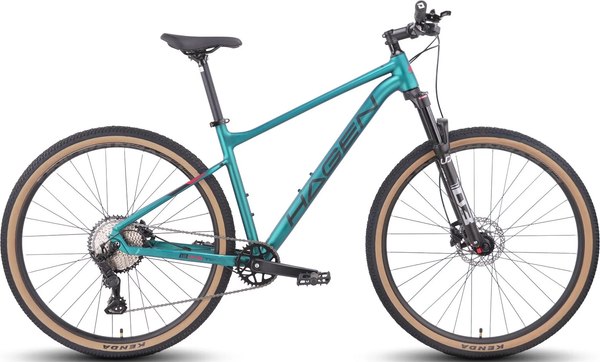 Велосипед Hagen Bikes Bikes 1.10 2025 / H25M110DE29XL