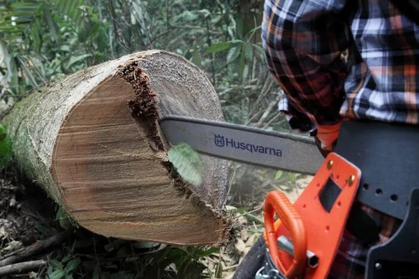 Бензопила цепная Husqvarna 56DL H42 X-Cut HLM X-Force / 967 08 21-15- фото2