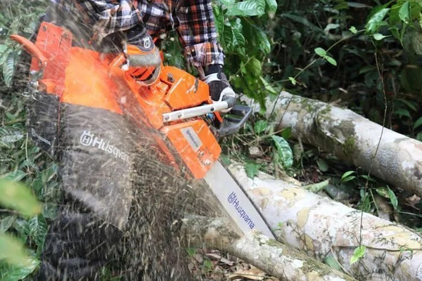 Бензопила цепная Husqvarna 56DL H42 X-Cut HLM X-Force / 967 08 21-15- фото4