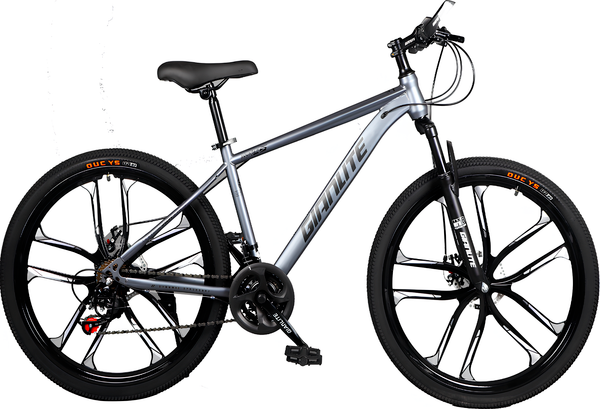 Велосипед Yayale 26 279-002- фото