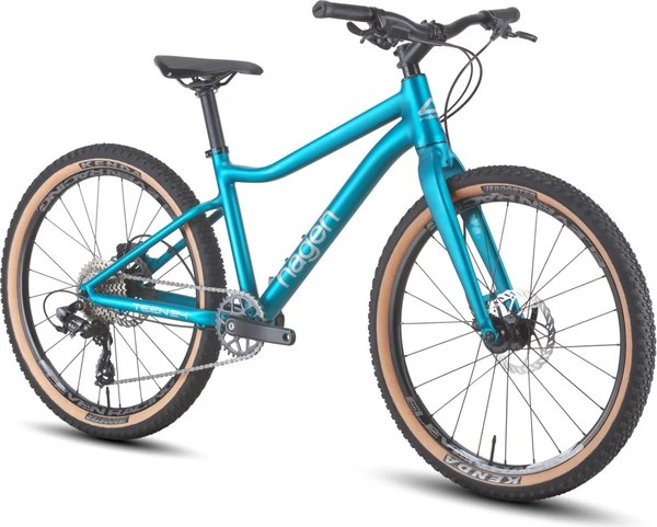 Велосипед Hagen Bikes Teen 24 8HD 2025 / H25T24RMB2XS- фото2