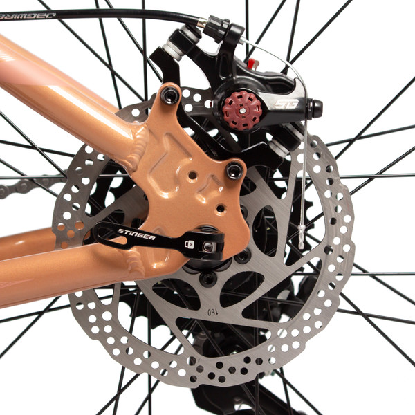 Велосипед Stinger Laguna 29 / 29AHD.LAGUNA.LGBG5- фото9