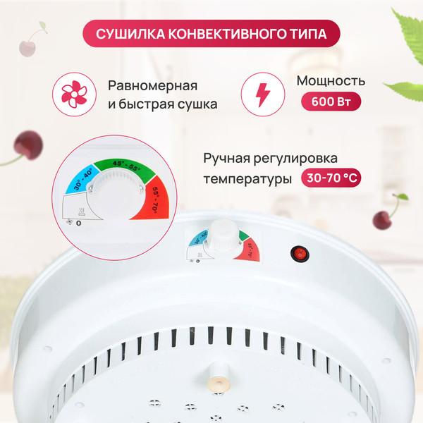 Сушилка для овощей и фруктов Ветерок Ветерок-6 У 2П г/т ЭСОФ-2-0.6/220-02-В- фото2, картинка2 Сушилка для овощей и фруктов Ветерок Ветерок-6 У 2П г/т ЭСОФ-2-0.6/220-02-В- фото2