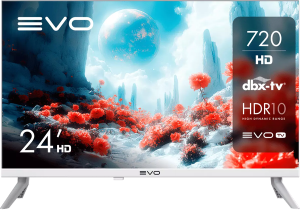 Телевизор Evo TV 24 ''- фото