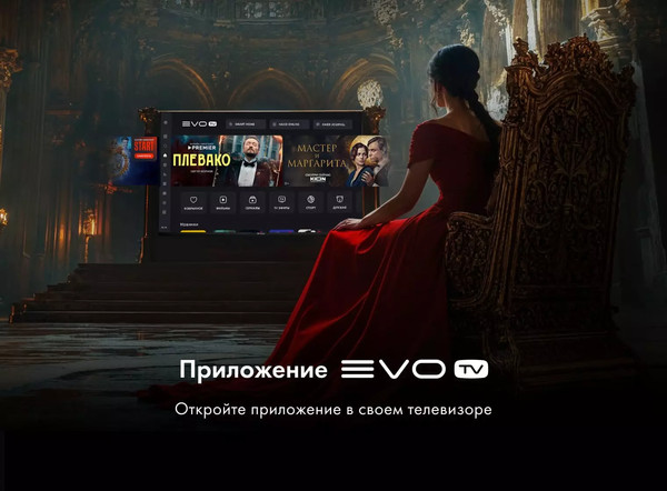 Телевизор Evo TV 43''- фото3