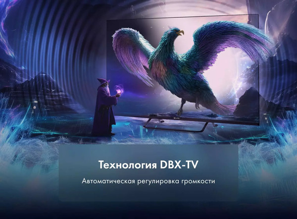 Телевизор Evo TV 43''- фото5