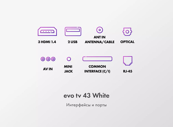 Телевизор Evo TV 43''- фото10