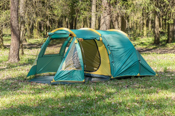 Палатка Coyote Dakota / CL-A08-Green с обогревателем газовым  ZT-202-D (черный)- фото9