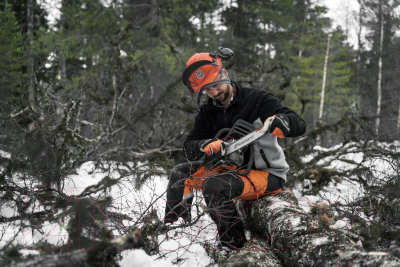 Бензопила цепная Husqvarna 450e II 15