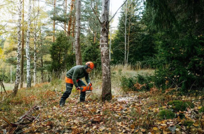 Электропила цепная Husqvarna 340i XP- фото4